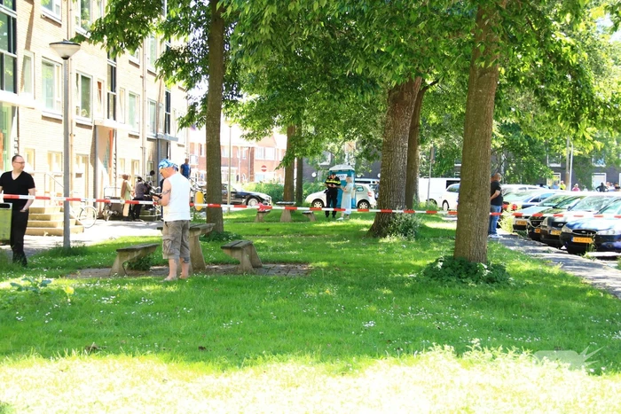Gewonde bij steekpartij