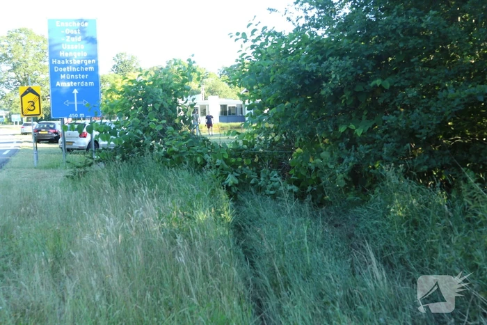 Automobilist raakt van de weg botst tegen tuinhuis