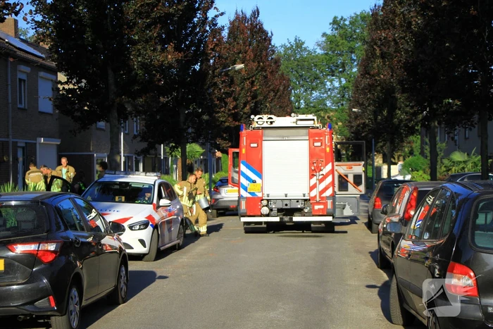 Bloembakken in brand