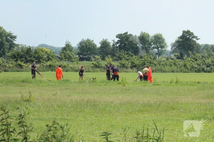 Grote reddingsactie voor paard te water
