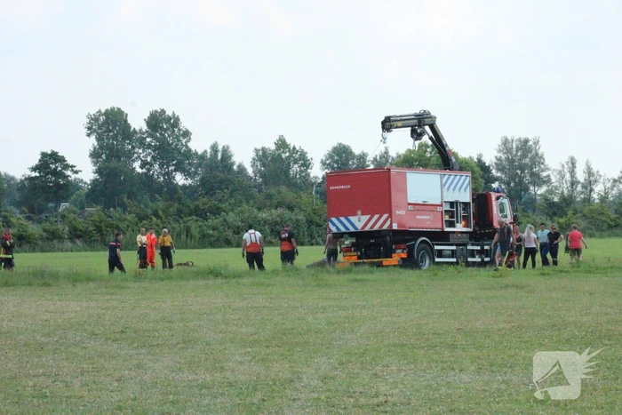 Grote reddingsactie voor paard te water