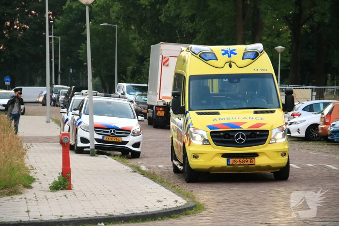 Steekpartij met aardappelschilmes