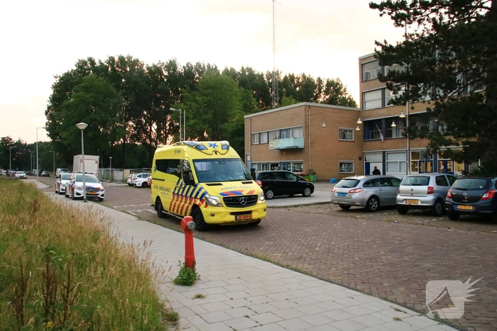Steekpartij met aardappelschilmes