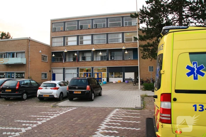 Steekpartij met aardappelschilmes