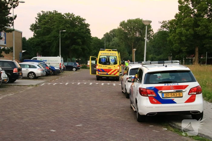 Steekpartij met aardappelschilmes