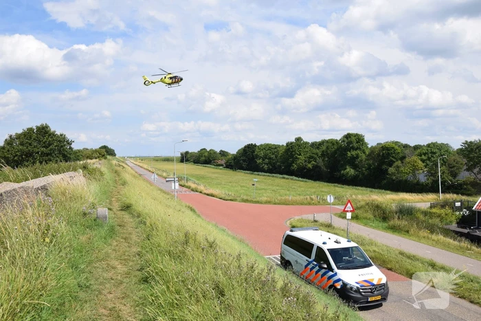Duiker gereanimeerd na onwelwordig in Grevelingen