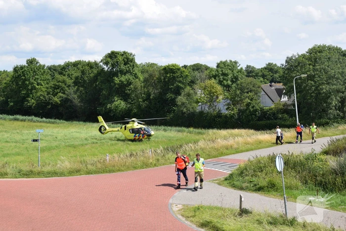 Duiker gereanimeerd na onwelwordig in Grevelingen
