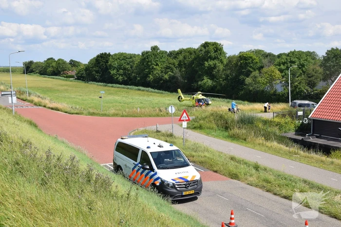 Duiker gereanimeerd na onwelwordig in Grevelingen