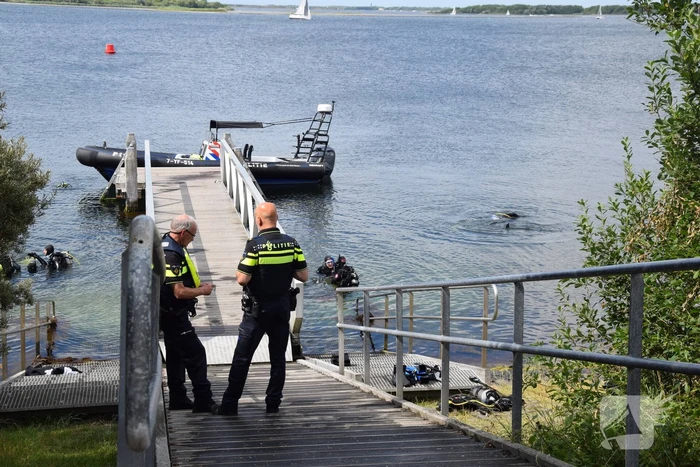 Duiker gereanimeerd na onwelwordig in Grevelingen
