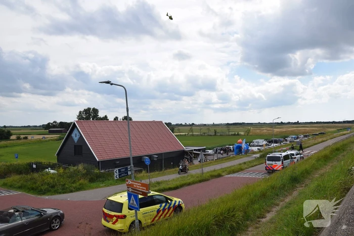 Duiker gereanimeerd na onwelwordig in Grevelingen