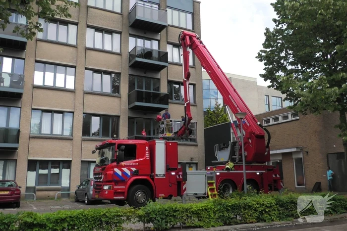 nieuws peter vineloolaan bergen op zoom