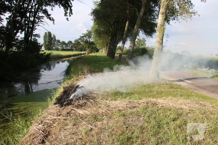Gemaaid gras in brand