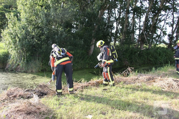 Gemaaid gras in brand