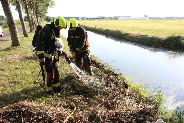 Gemaaid gras in brand