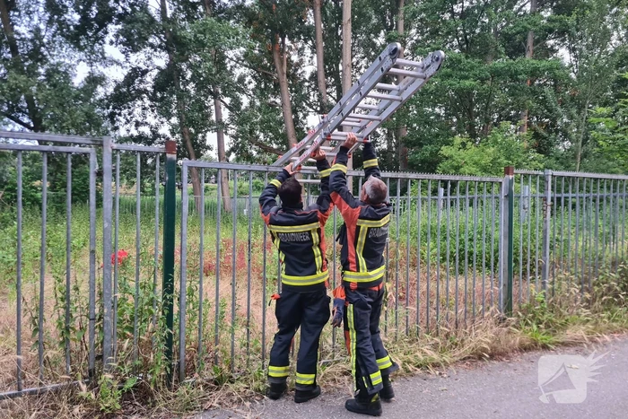 Sterke gaslucht in oud scouting gebouw