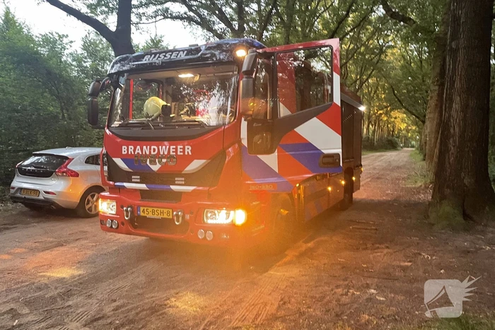 Kleine brand in bosgebied