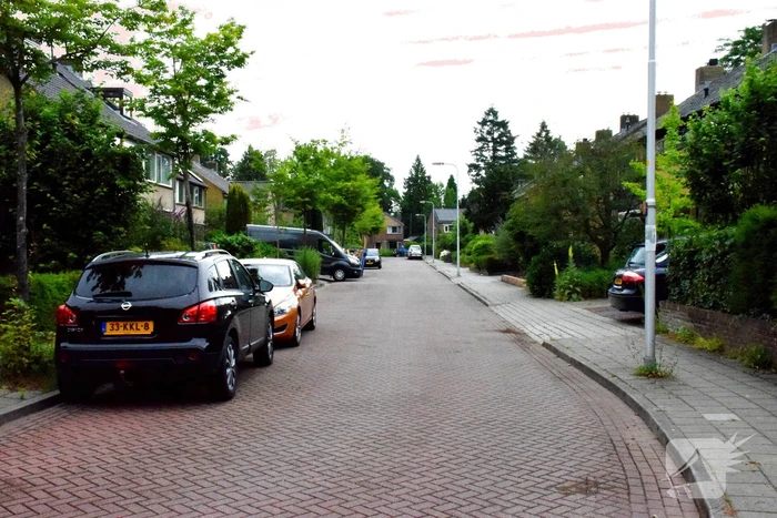 Politie lost waarschuwingsschoten bij aanhouding