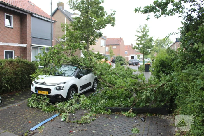 Windhoos richt grote schade aan, een dode
