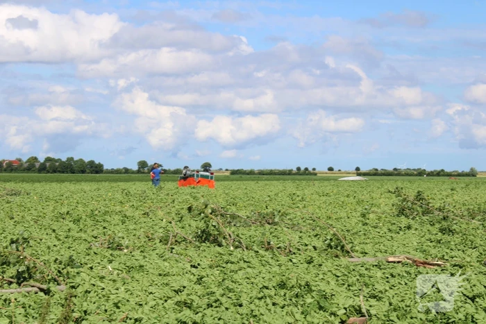Windhoos richt grote schade aan, een dode