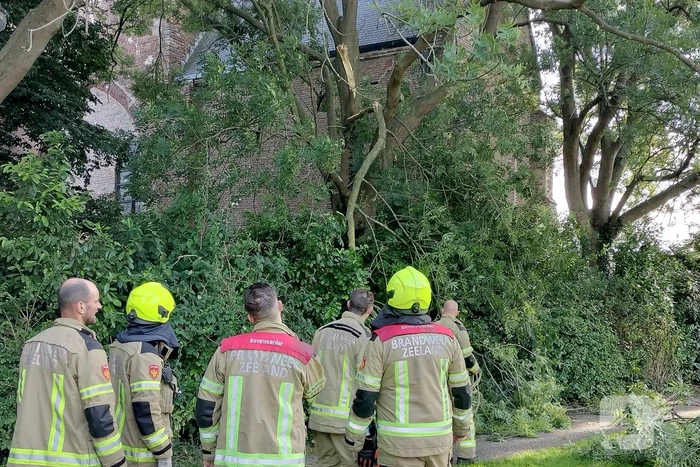 Brandweermannen verwijderen gevaarlijk hangende tak