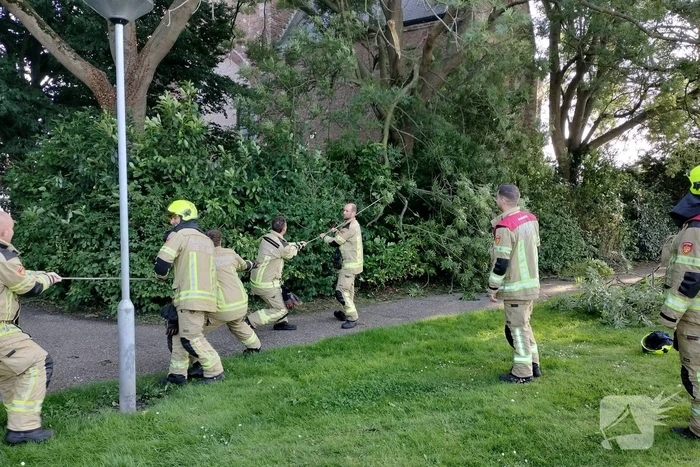 Brandweermannen verwijderen gevaarlijk hangende tak