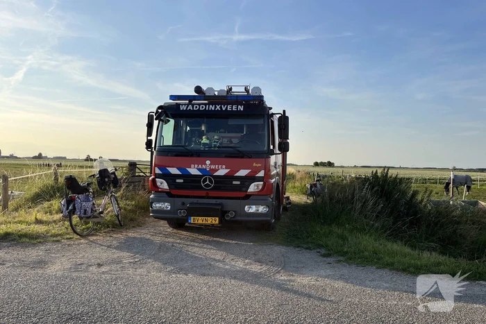 Paard uit sloot gehaald