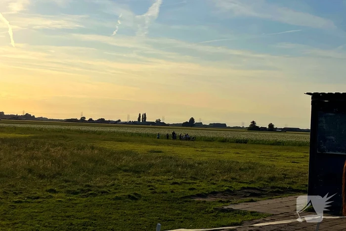 Paard uit sloot gehaald