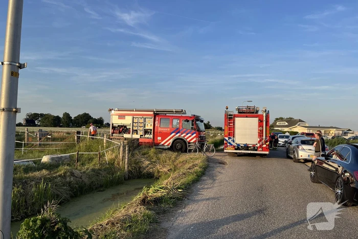 Paard uit sloot gehaald