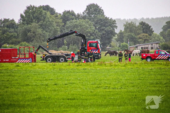 Paard met kraan uit sloot getakeld