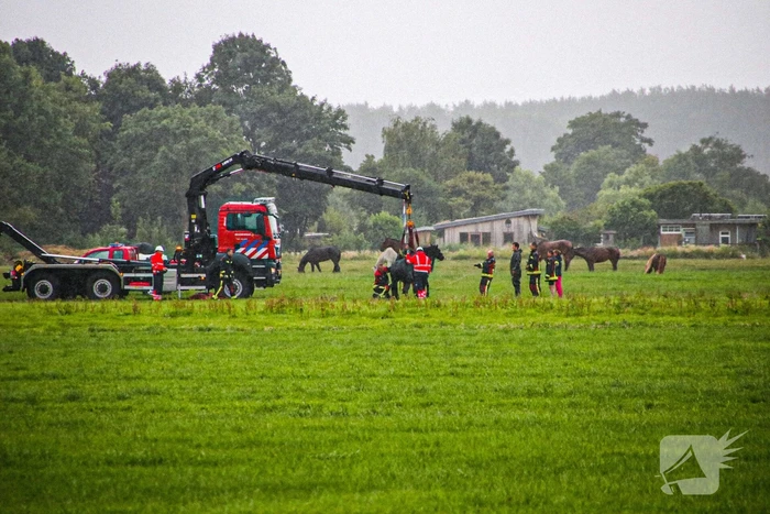 Paard met kraan uit sloot getakeld