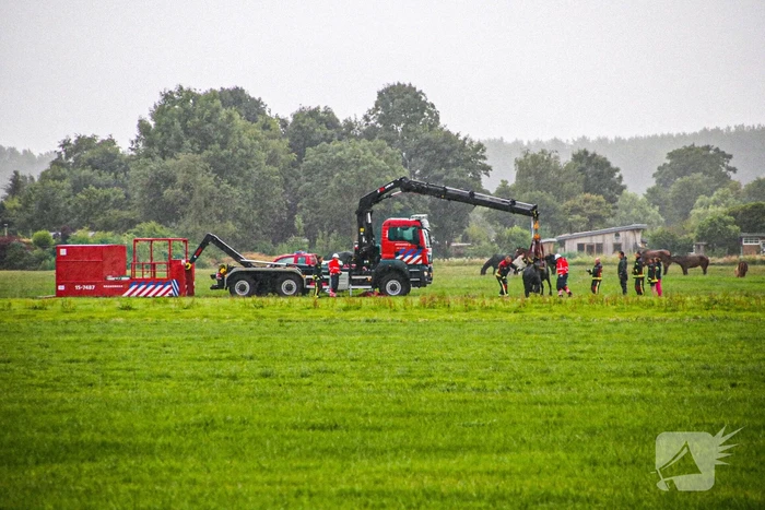 Paard met kraan uit sloot getakeld