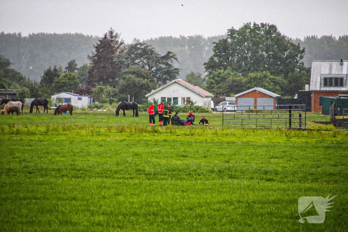 Paard met kraan uit sloot getakeld