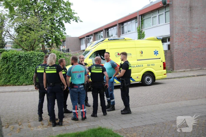 Automobilist botst tegen woning