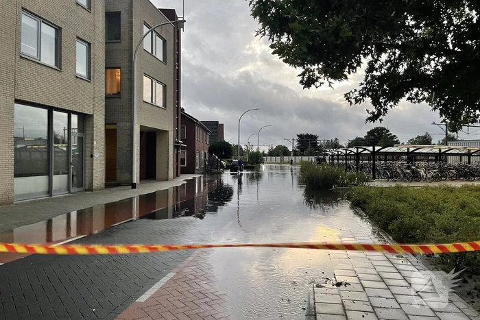 natuur molenstraat rijssen