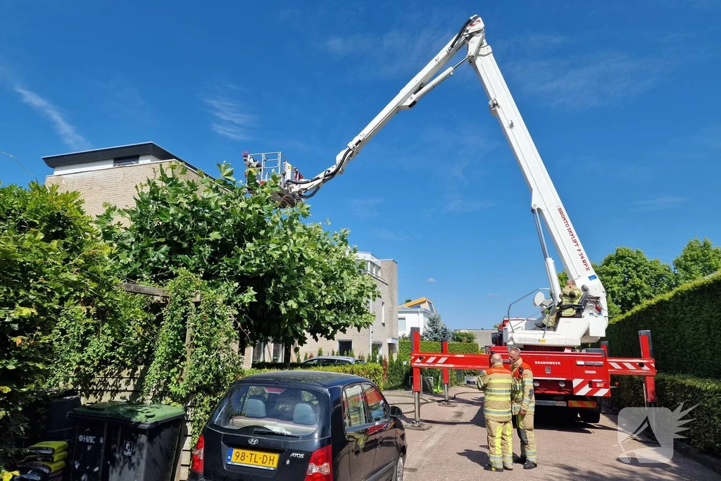 Ellertsveld 112 melding Lelystad 