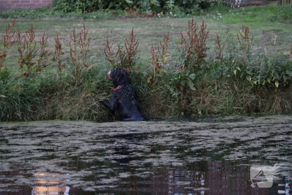 Kerkweg-West Nieuws Waddinxveen 