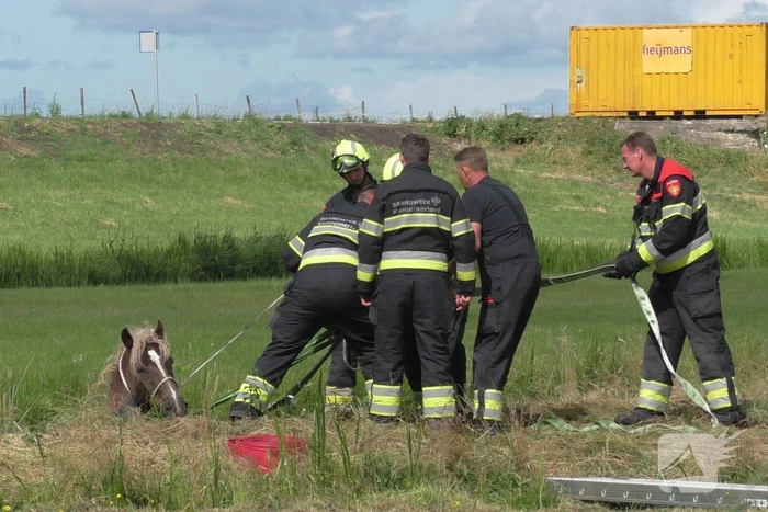 nieuws spaarndammerdijk spaarndam