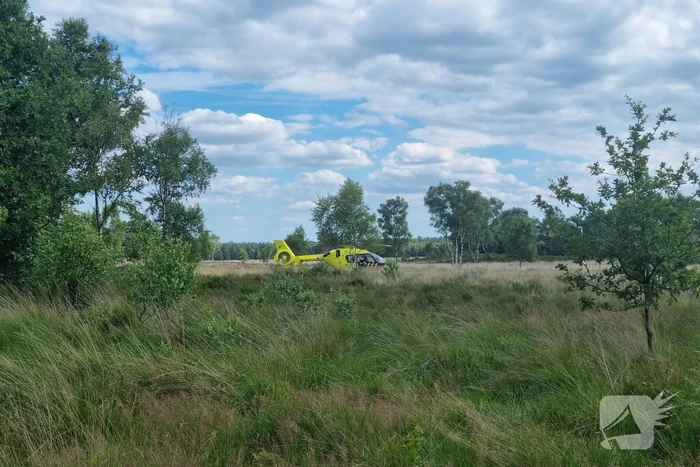 Mountainbiker gaat hard onderuit in bos