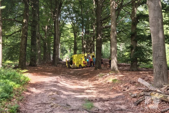 Mountainbiker gaat hard onderuit in bos