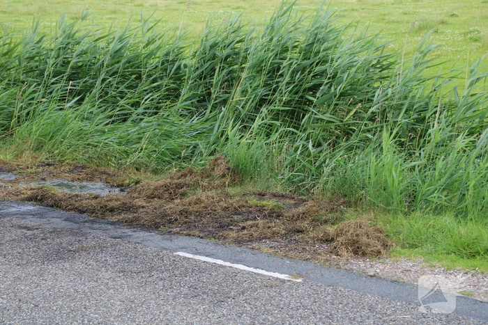 Brand in berm snel geblust