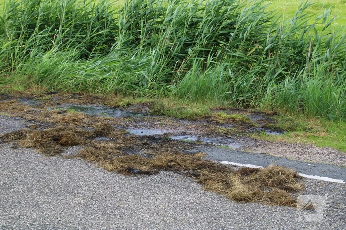 Brand in berm snel geblust
