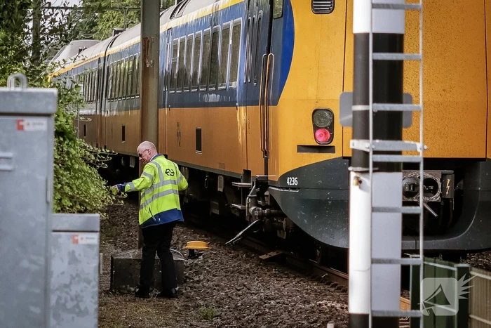 Automobilist rijdt tegen rijdende trein
