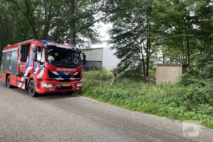 Brandweerlieden blussen brand in buitengebied