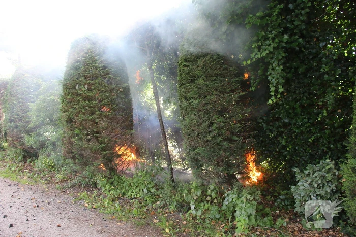 Coniferenhaag in brand door vuurwerk