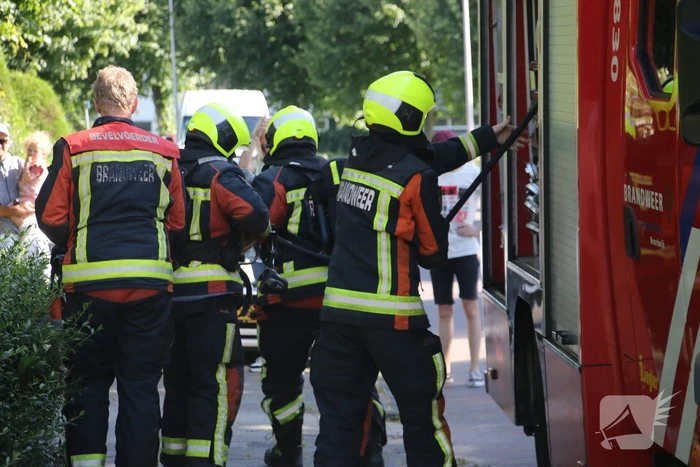 Coniferenhaag in brand door vuurwerk