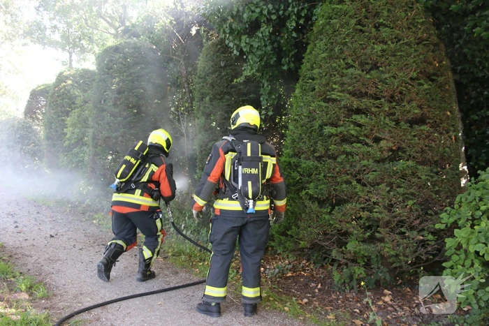 Coniferenhaag in brand door vuurwerk