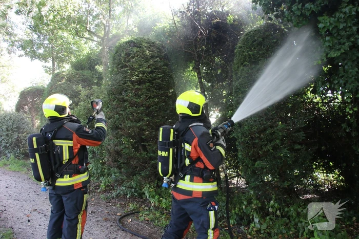 Coniferenhaag in brand door vuurwerk