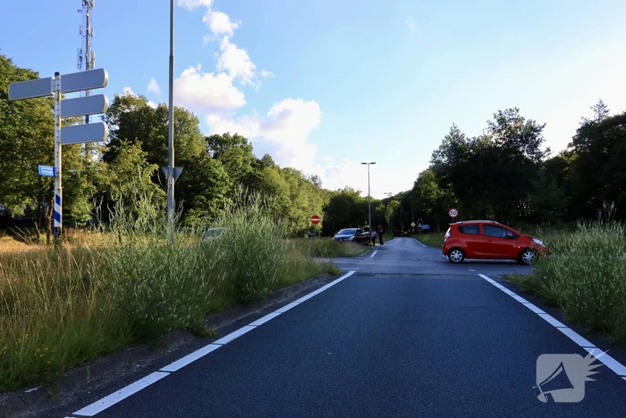 Twee auto's botsen door te hoog gras