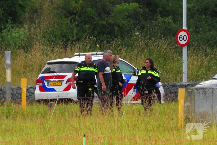 Kudde schapen langs de snelweg uitgebroken