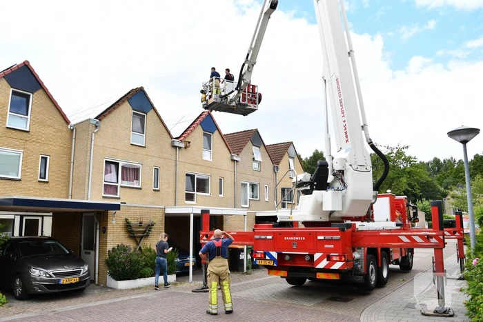 Vastzittende zwaluw door brandweer gered